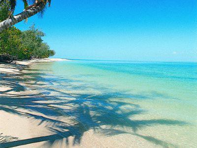 Hôtel Bedarra Island à Great Barrier Reef Extérieur photo